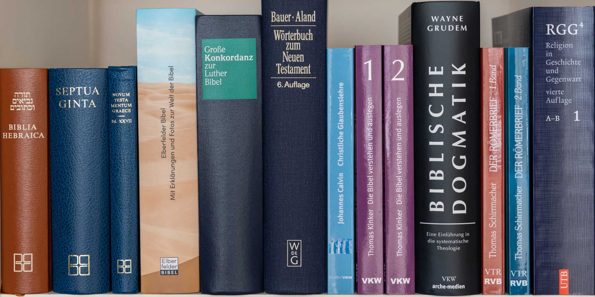 martin-bucer-seminar-stuttgart-mbs-studium